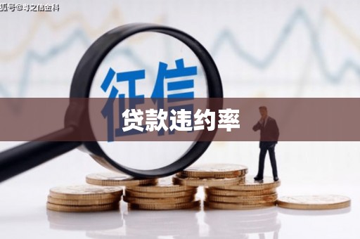 高碑店贷款违约率