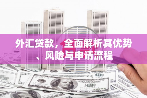 高碑店外汇贷款，全面解析其优势、风险与申请流程