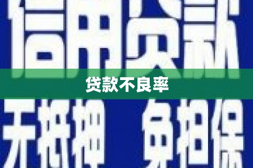 高碑店贷款不良率