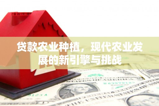 高碑店贷款农业种植，现代农业发展的新引擎与挑战