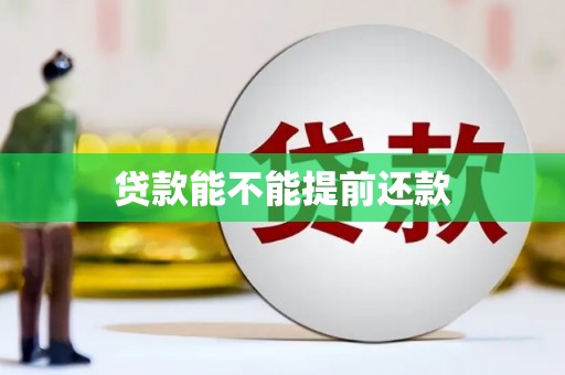 高碑店贷款能不能提前还款