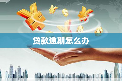 高碑店贷款逾期怎么办