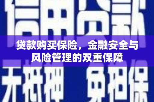 高碑店贷款购买保险，金融安全与风险管理的双重保障