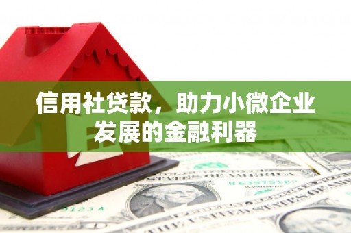 高碑店信用社贷款，助力小微企业发展的金融利器