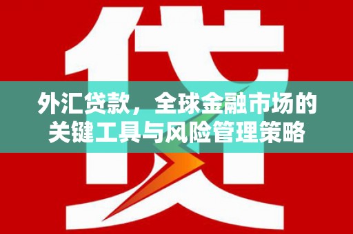 高碑店外汇贷款，全球金融市场的关键工具与风险管理策略