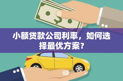 高碑店小额贷款公司利率，如何选择最优方案？