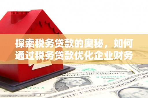 高碑店探索税务贷款的奥秘，如何通过税务贷款优化企业财务
