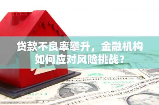 高碑店贷款不良率攀升，金融机构如何应对风险挑战？