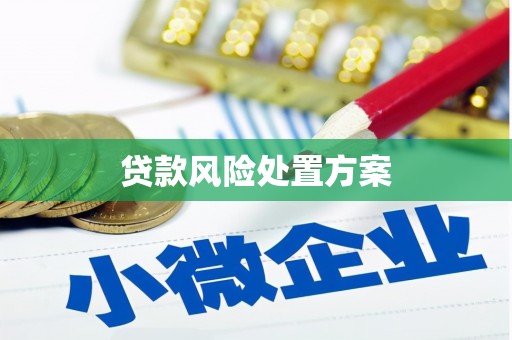 高碑店贷款风险处置方案