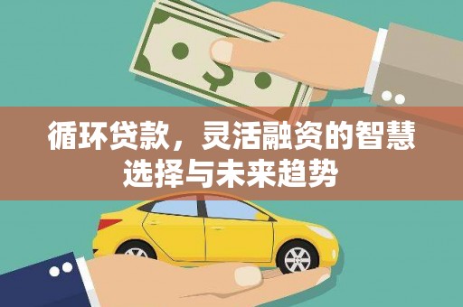 高碑店循环贷款，灵活融资的智慧选择与未来趋势