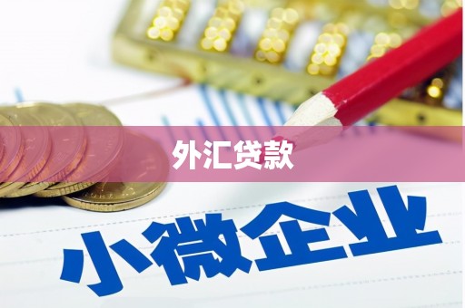 高碑店外汇贷款
