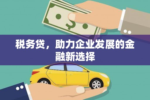 高碑店税务贷，助力企业发展的金融新选择