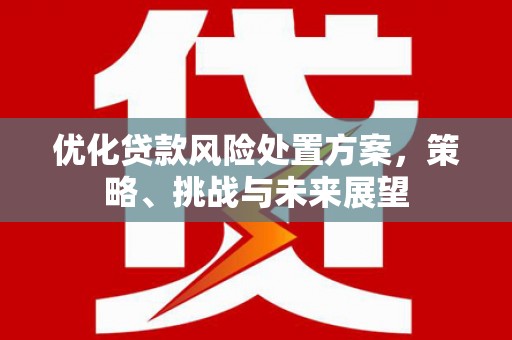 高碑店优化贷款风险处置方案，策略、挑战与未来展望