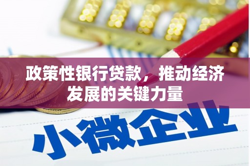 高碑店政策性银行贷款，推动经济发展的关键力量
