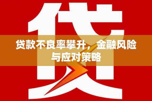 高碑店贷款不良率攀升，金融风险与应对策略