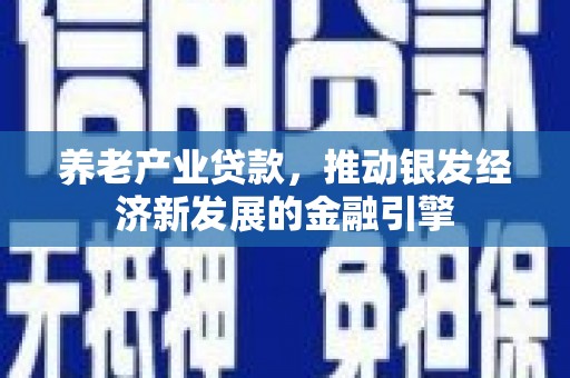 高碑店养老产业贷款，推动银发经济新发展的金融引擎