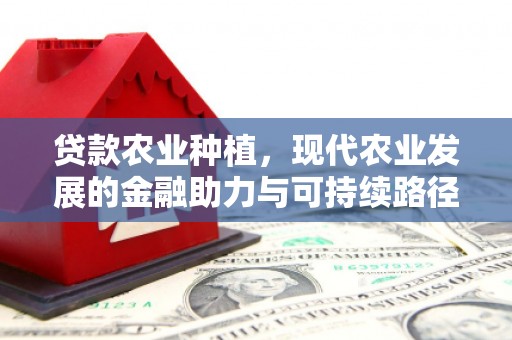 高碑店贷款农业种植，现代农业发展的金融助力与可持续路径