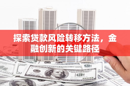高碑店探索贷款风险转移方法，金融创新的关键路径