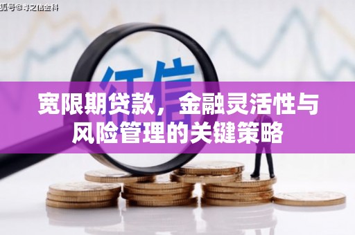 高碑店宽限期贷款，金融灵活性与风险管理的关键策略