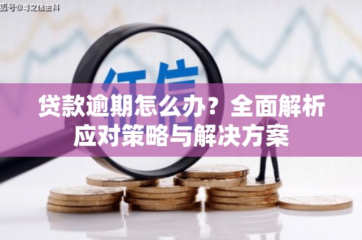 高碑店贷款逾期怎么办？全面解析应对策略与解决方案