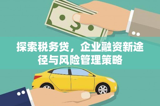 高碑店探索税务贷，企业融资新途径与风险管理策略
