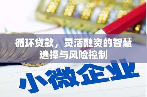 高碑店循环贷款，灵活融资的智慧选择与风险控制