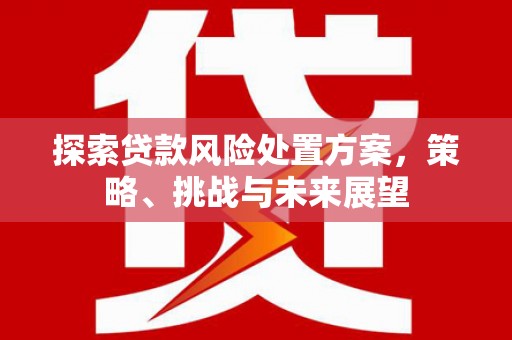 高碑店探索贷款风险处置方案，策略、挑战与未来展望