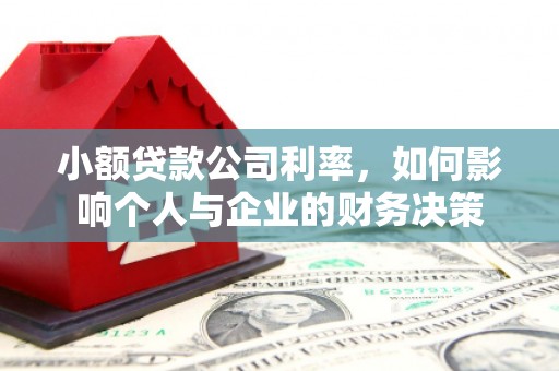 高碑店小额贷款公司利率，如何影响个人与企业的财务决策