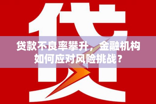 高碑店贷款不良率攀升，金融机构如何应对风险挑战？