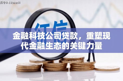 高碑店金融科技公司贷款，重塑现代金融生态的关键力量