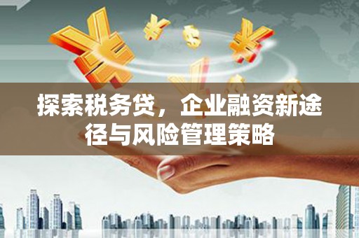 高碑店探索税务贷，企业融资新途径与风险管理策略