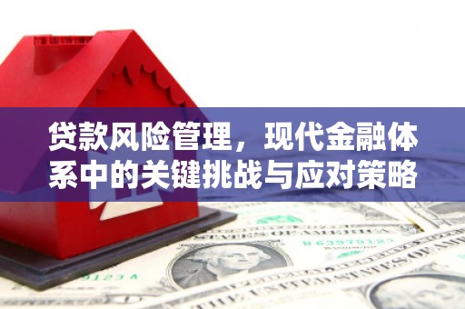 高碑店贷款风险管理，现代金融体系中的关键挑战与应对策略