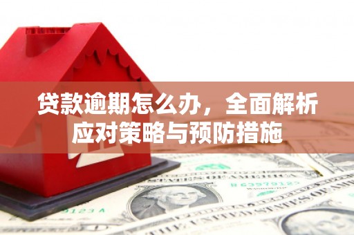 高碑店贷款逾期怎么办，全面解析应对策略与预防措施