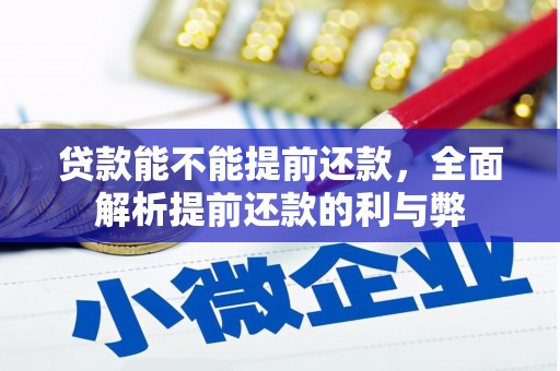 高碑店贷款能不能提前还款，全面解析提前还款的利与弊