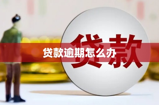 高碑店贷款逾期怎么办