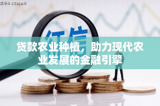 高碑店贷款农业种植，助力现代农业发展的金融引擎