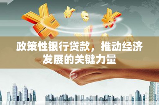 高碑店政策性银行贷款，推动经济发展的关键力量
