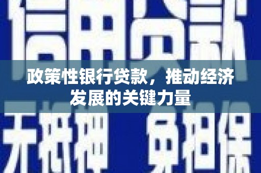 高碑店政策性银行贷款，推动经济发展的关键力量