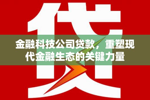 高碑店金融科技公司贷款，重塑现代金融生态的关键力量