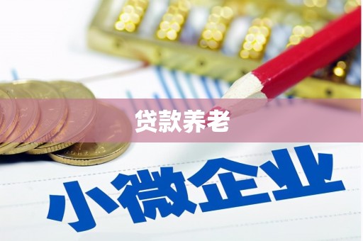 高碑店贷款养老