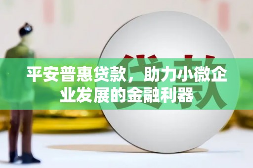 高碑店平安普惠贷款，助力小微企业发展的金融利器