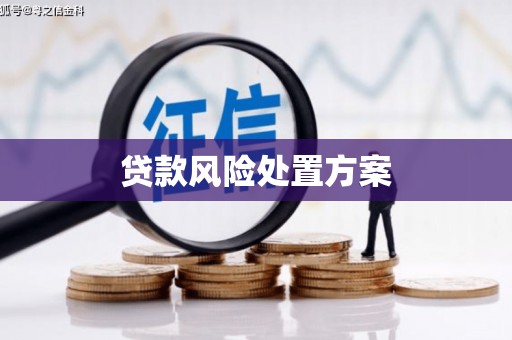 高碑店贷款风险处置方案