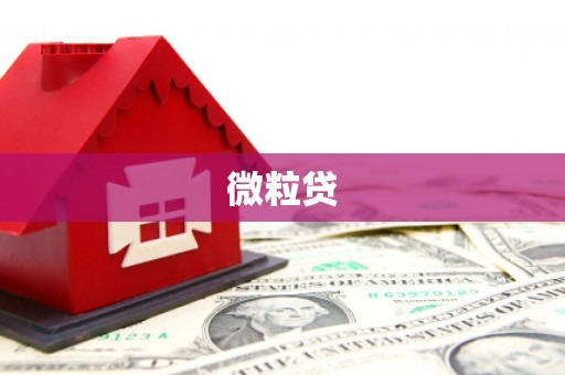 高碑店微粒贷