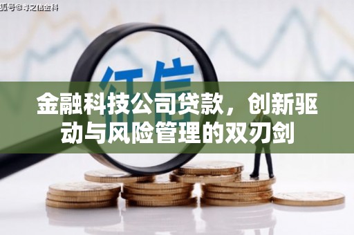 高碑店金融科技公司贷款，创新驱动与风险管理的双刃剑
